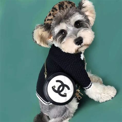 chanel dog sweater